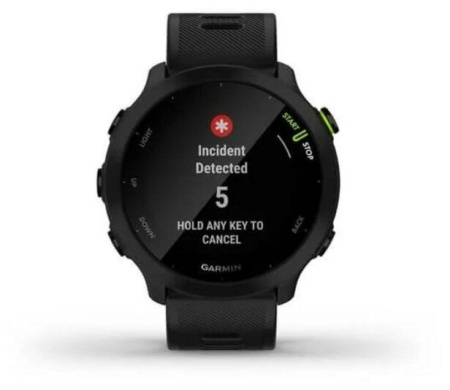 Часы Forerunner 55 (Black)